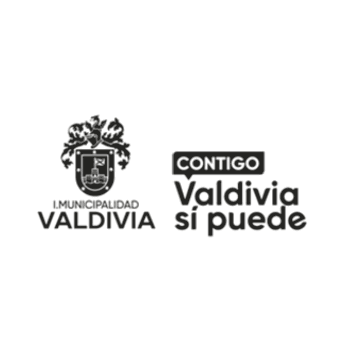 Municipalidad de Valdivia